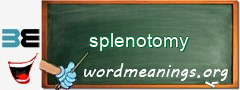 WordMeaning blackboard for splenotomy